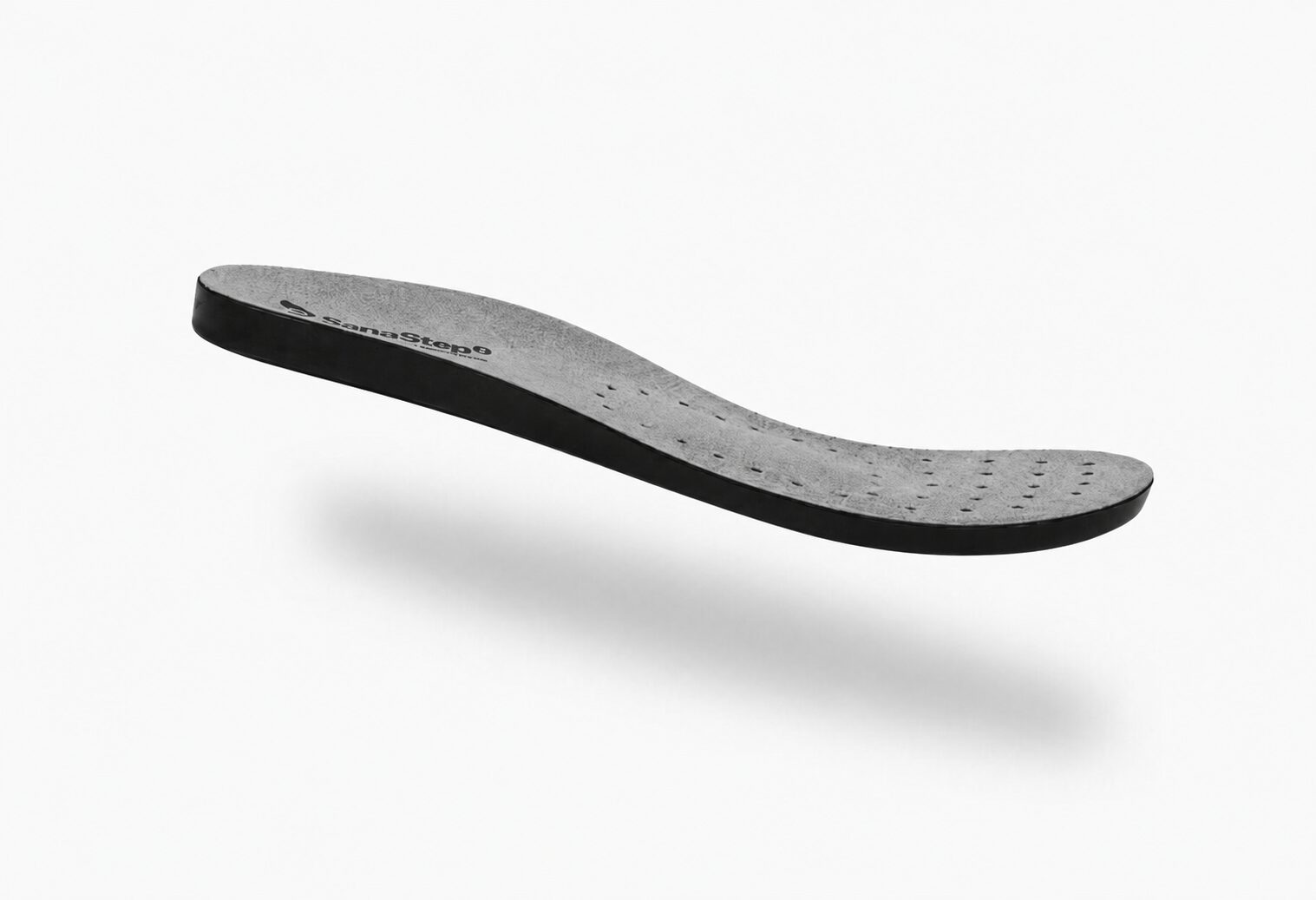 Anatomska tabanica Siva
